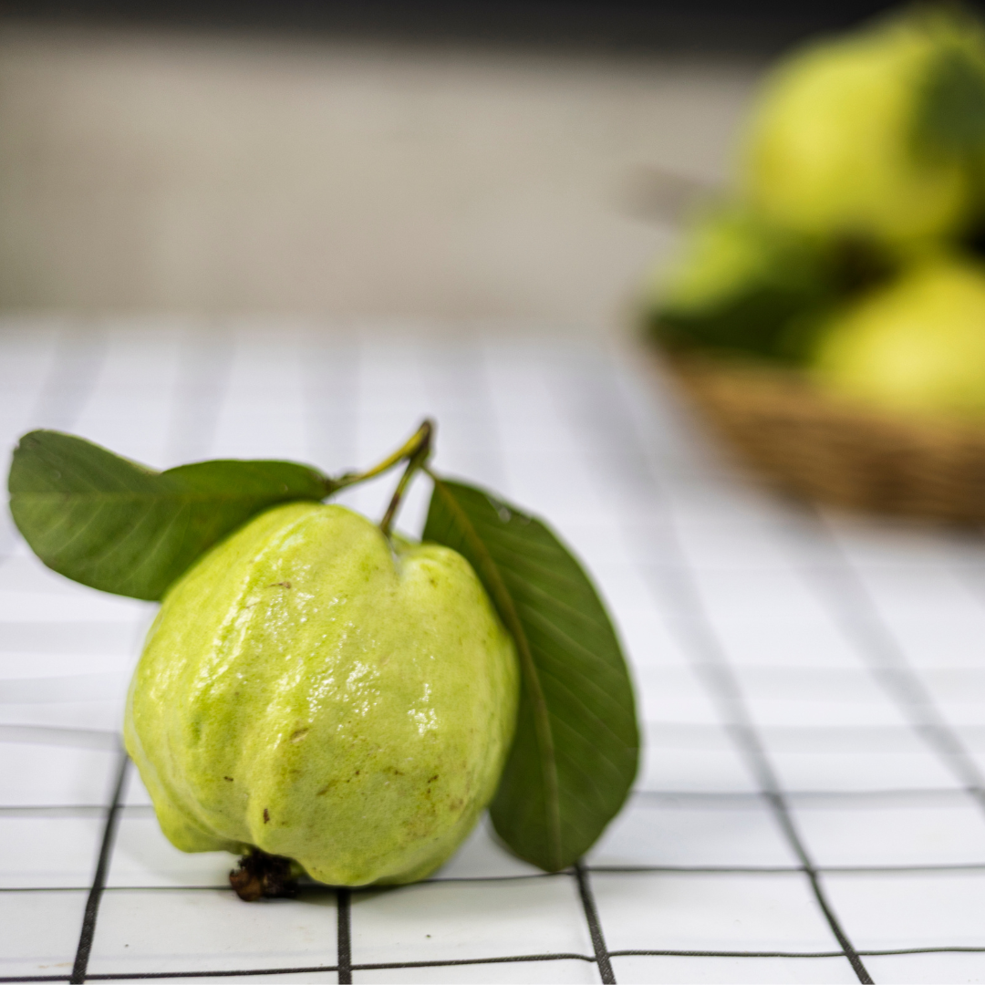 Deepak Farm Guava Plant (Hybrid, Pack of 1) - Image 3
